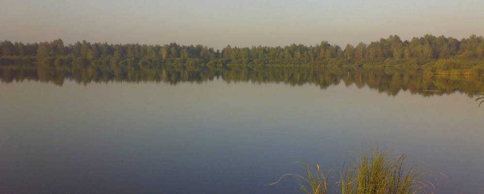 
            Фотография Брюшкова