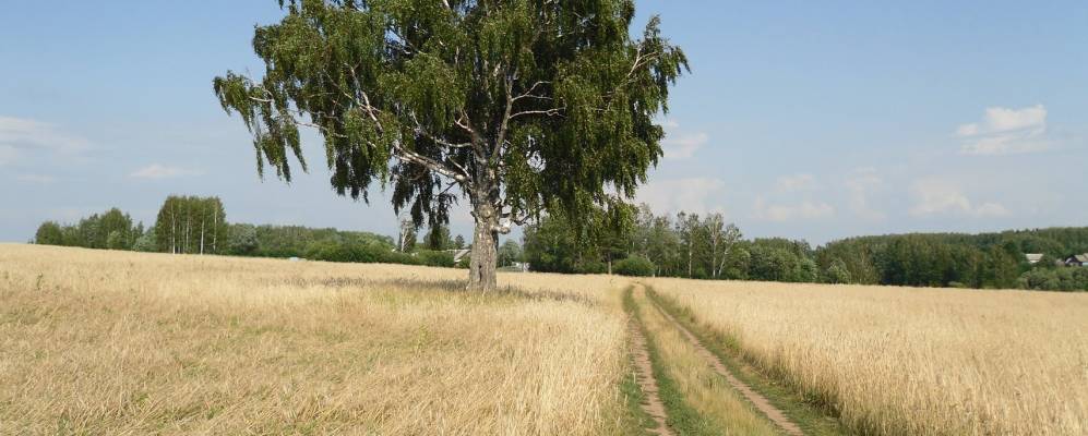 
            Фотография Малого Шокшема