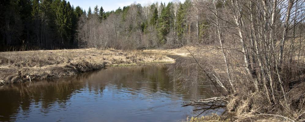 
            Фотография Гулино