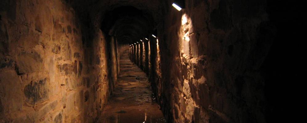 
            Фотография Асторга