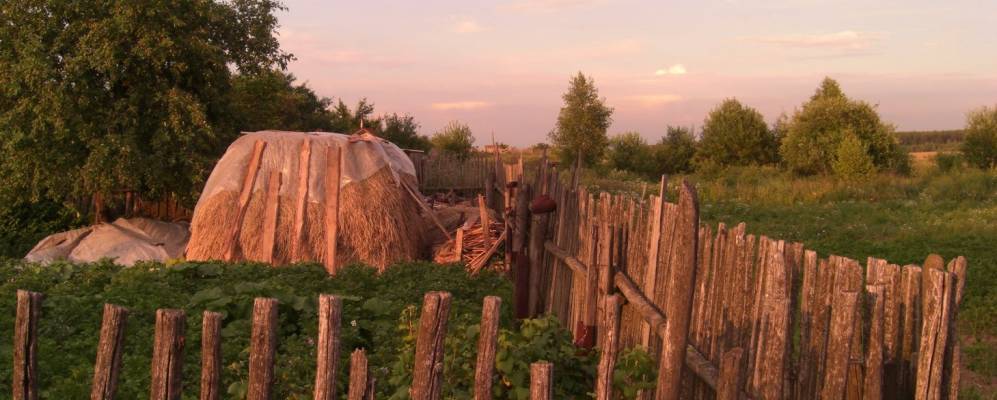 
            Фотография Крупино