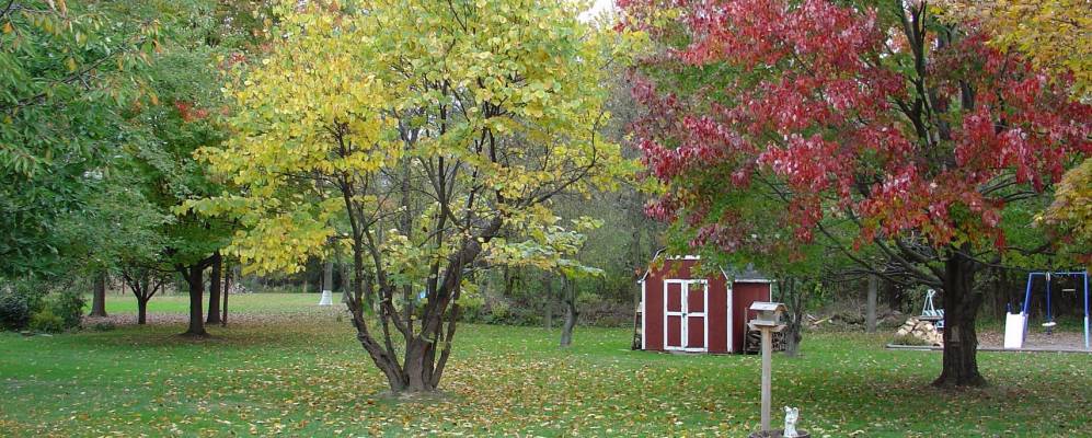 
            Фотография Маунт Кармель