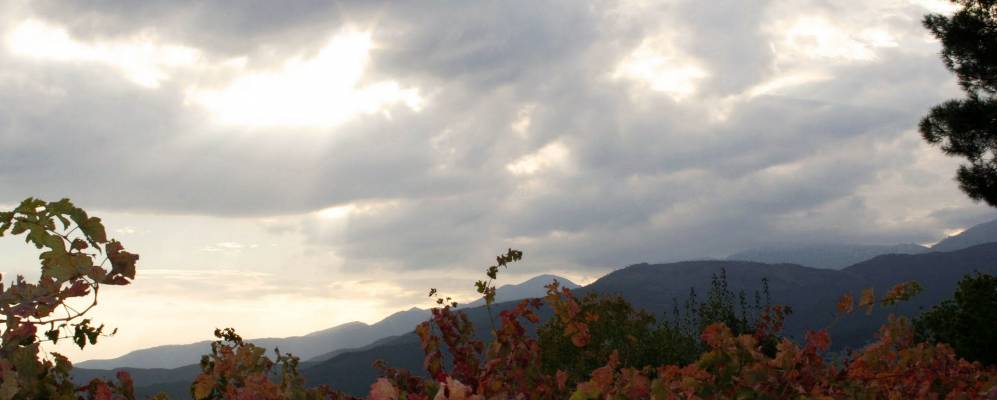 
            Фотография Сан-Эстебан-дель-Валье