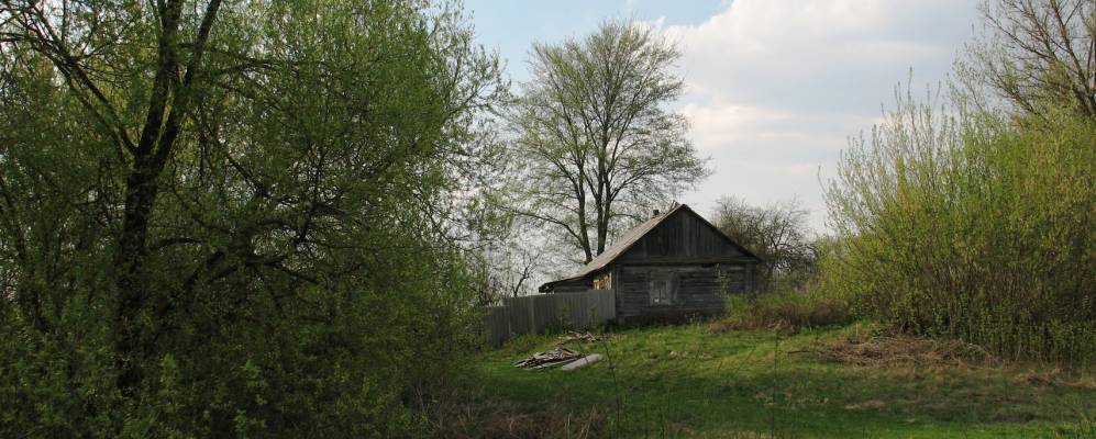 Фотография Берновичей