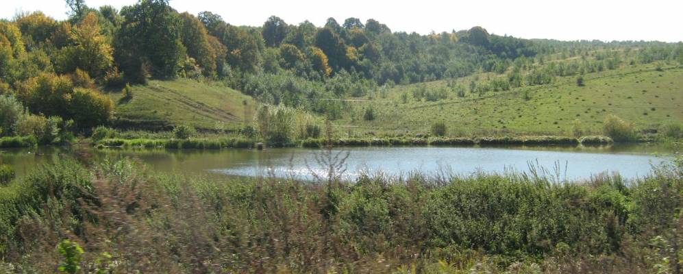 
            Фотография Ладанцы