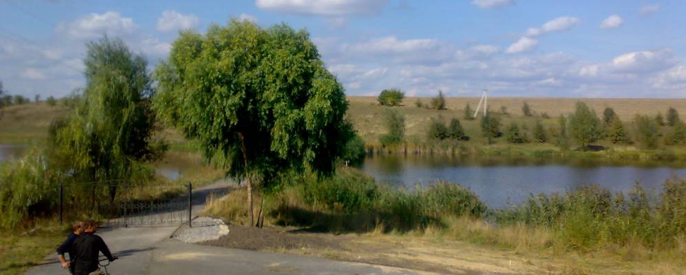 
            Фотография Шушковки