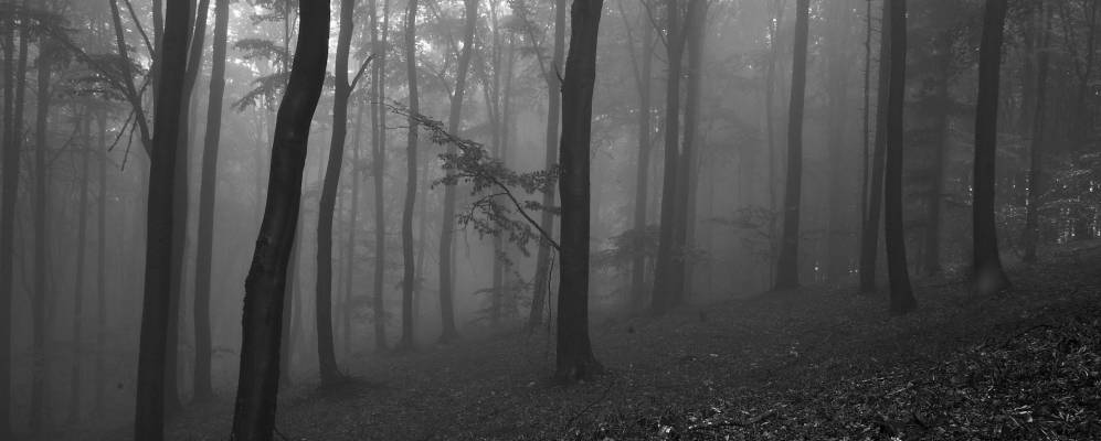 
            Фотография Житковы