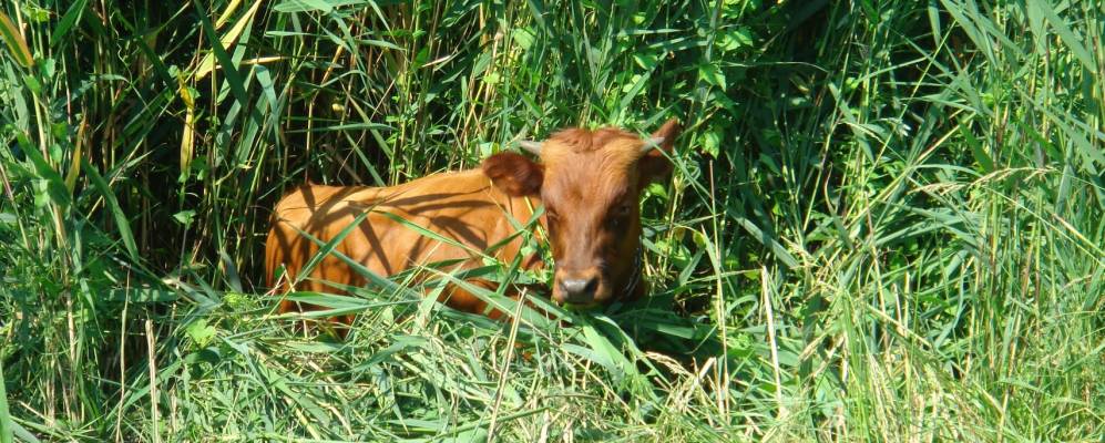 
            Фотография Желтых Копаней