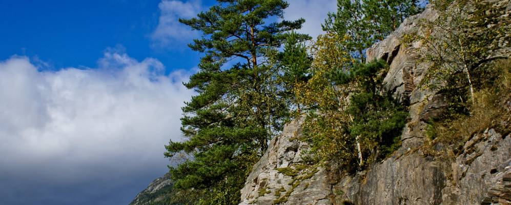 
            Фотография Касина