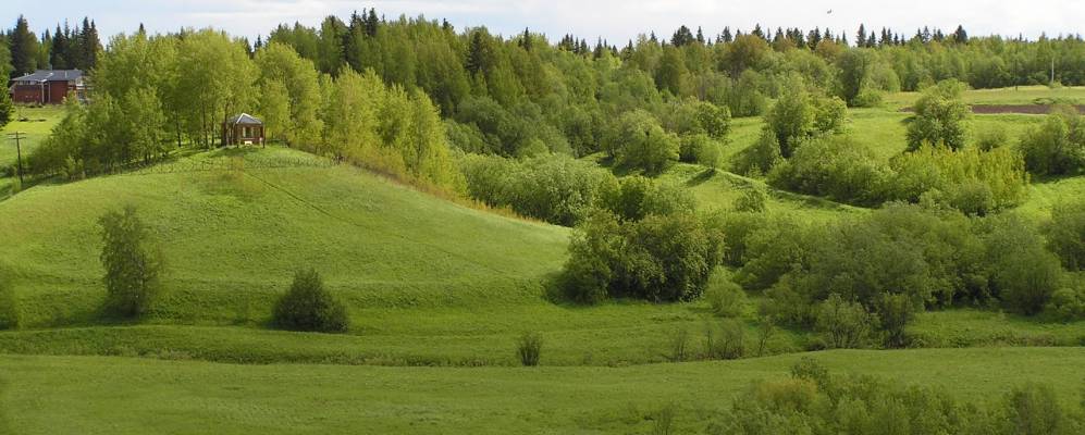 Фотография Степановской