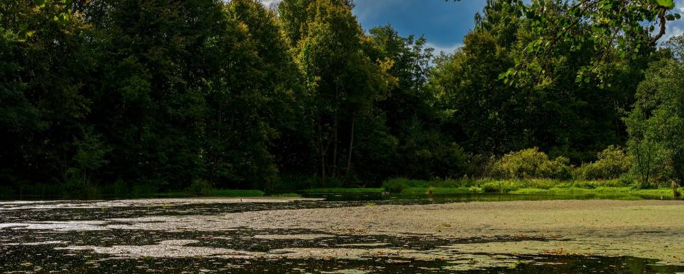 
            Фотография Латышовки