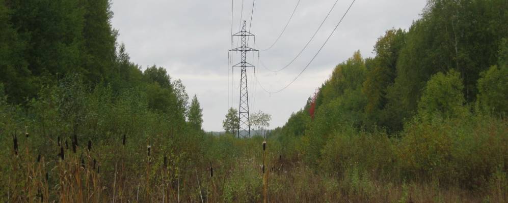 
            Фотография Деминой Гари