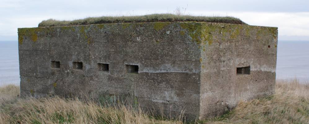 
            Фотография Волкингтона