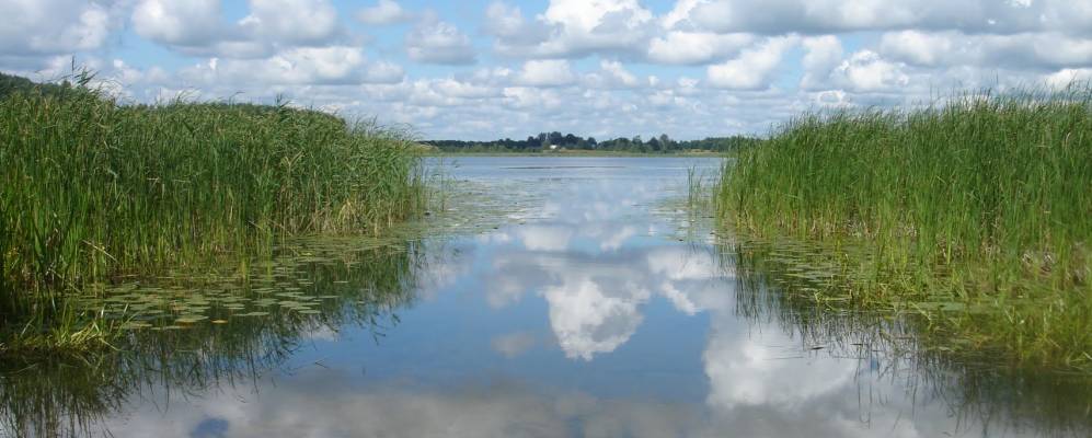 
            Фотография деревни Бирюли
