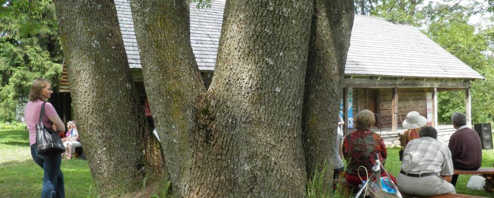 
            Фотография деревни Липени