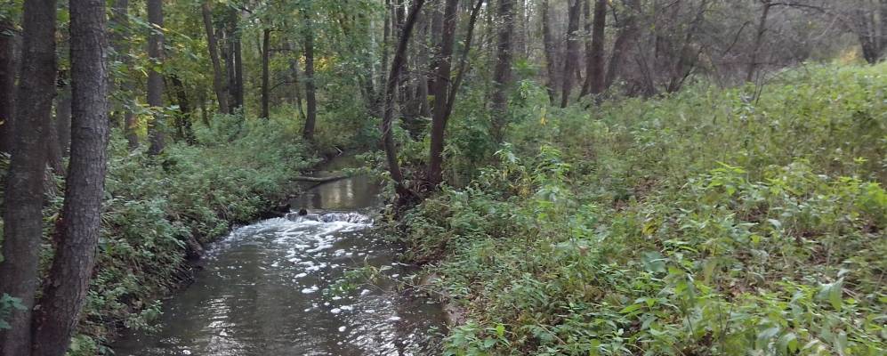 Фотография Николаевки