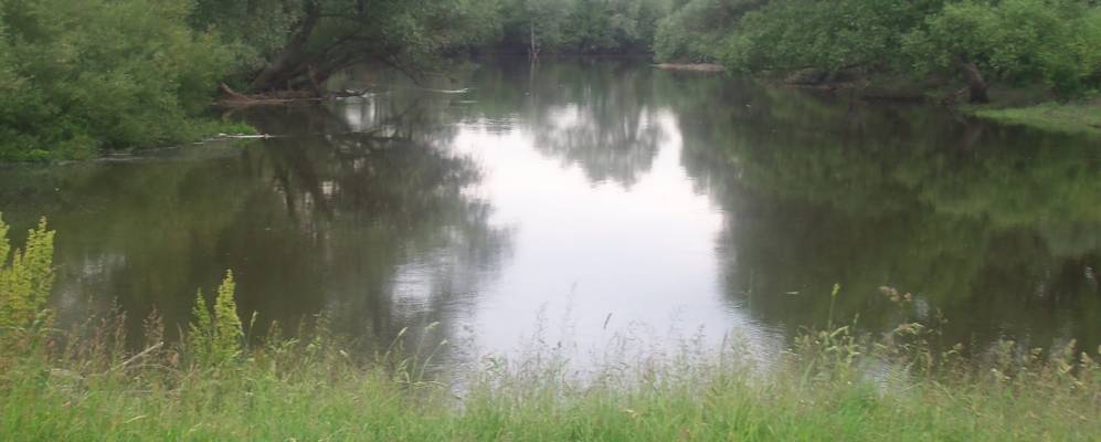 
            Фотография Амбукова