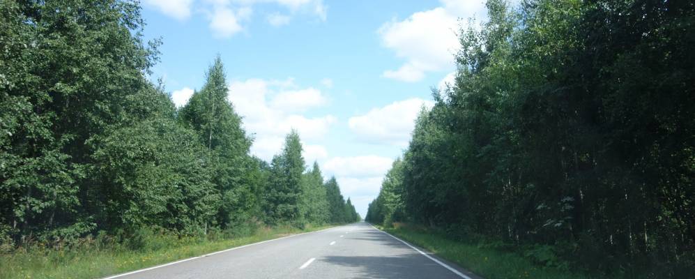 
            Фотография Ситомли