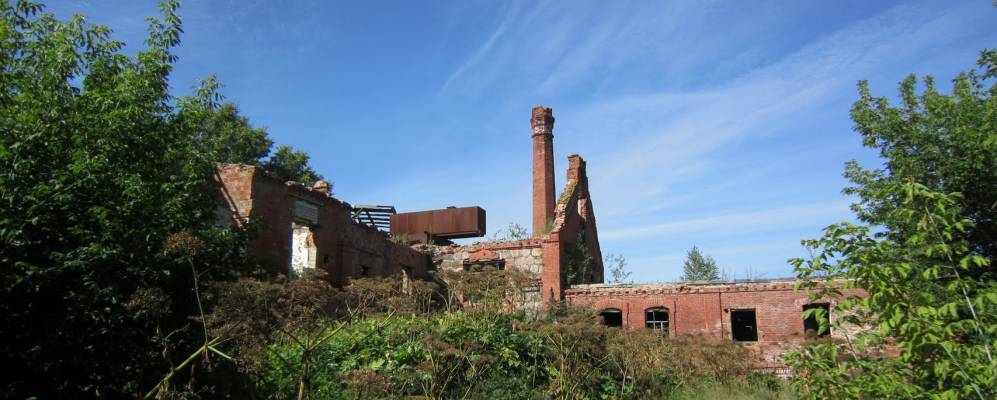 Фотография Пламени