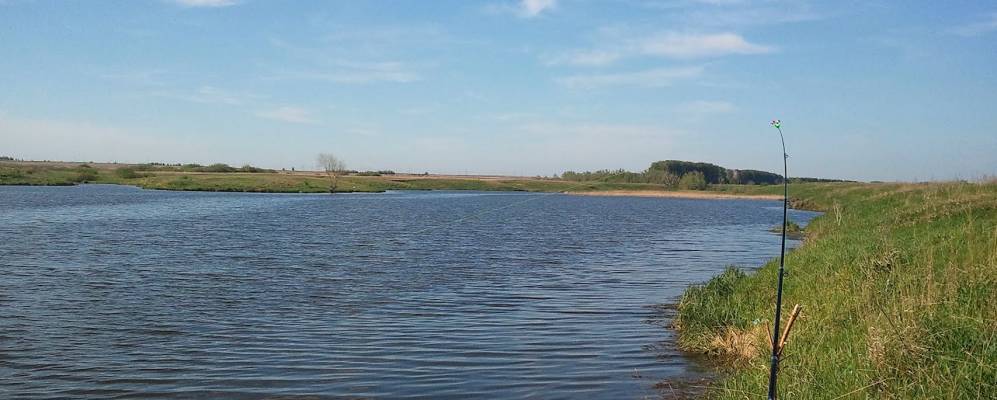 
            Фотография Каргалей