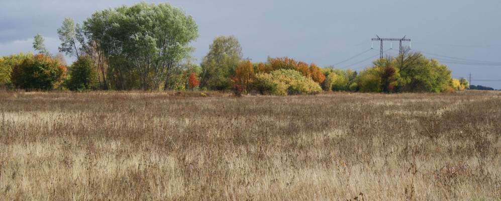 
            Фотография Фоминского