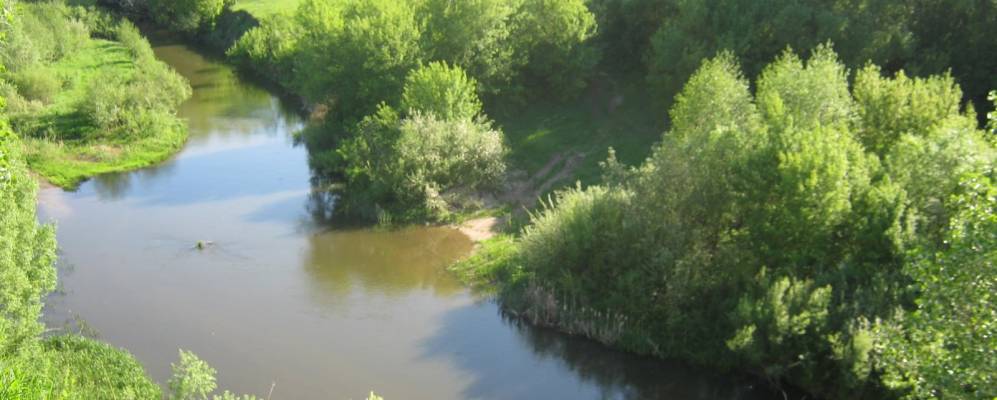 
            Фотография Рогатика