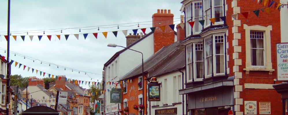 
            Фотография Кардигана