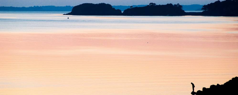 
            Фотография Логона-Даула