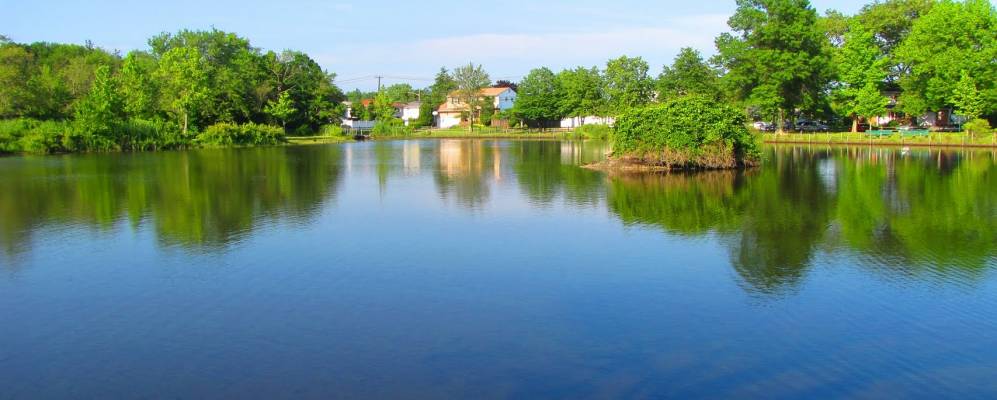 
            Фотография Сифорда