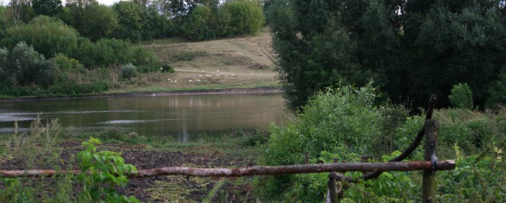 
            Фотография Миньковцев