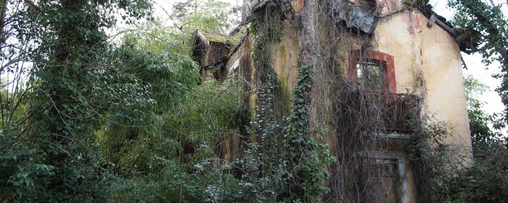 
            Фотография Идрона