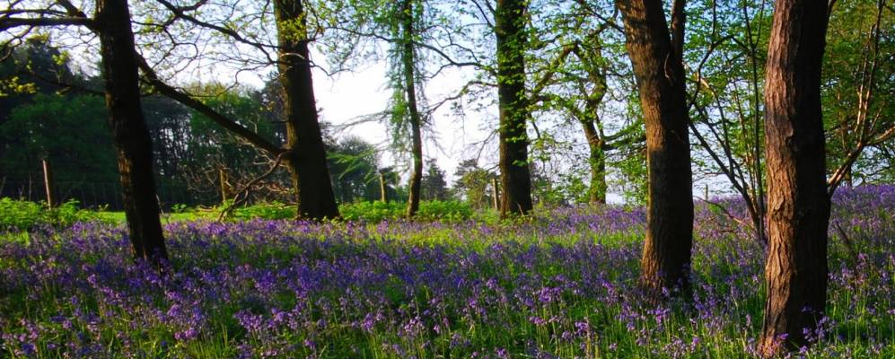 
            Фотография Атерстона