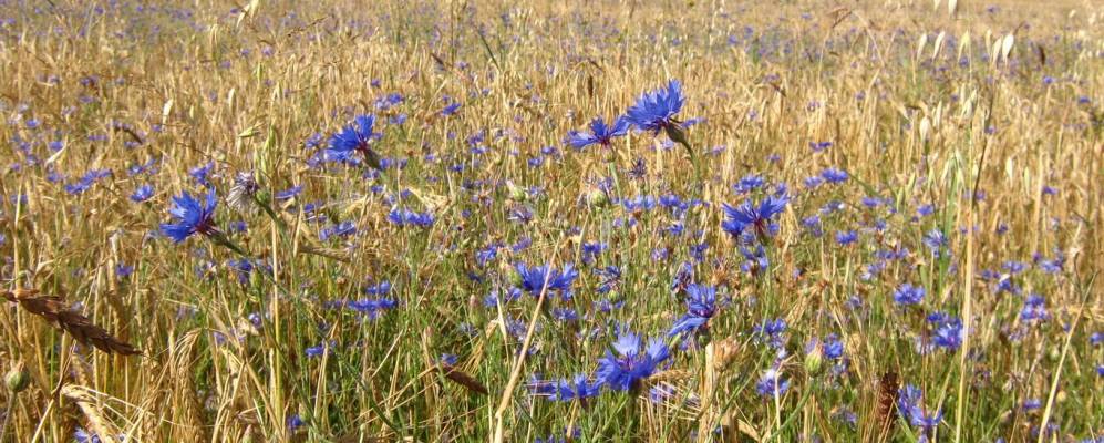 
            Фотография Зоновщины