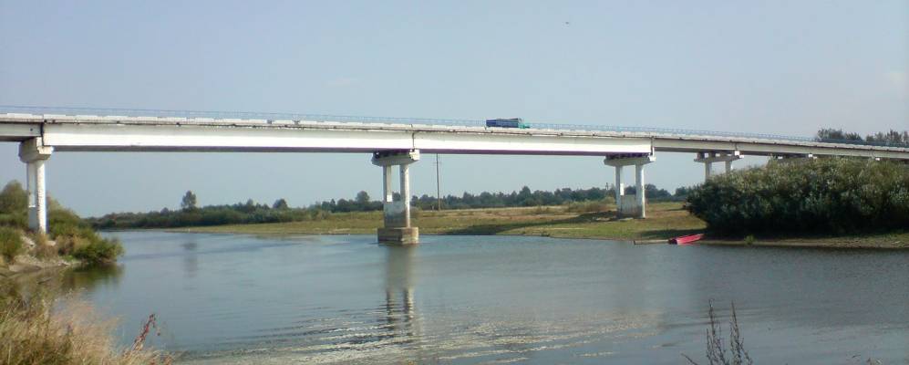 
            Фотография Ямного