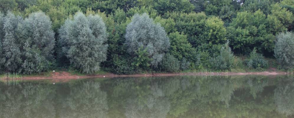 
            Фотография Распашки