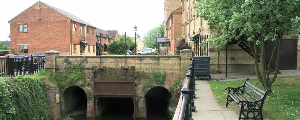 Фотография Рамсей