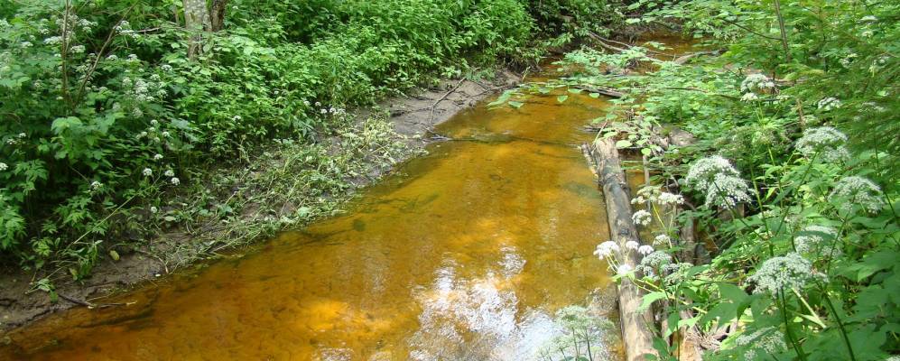 
            Фотография Большой Кувербы