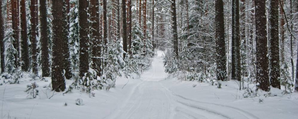 
            Фотография Урежей