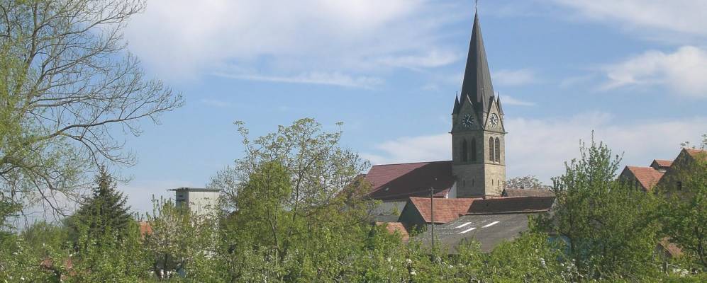 
            Фотография Штайнвайлера