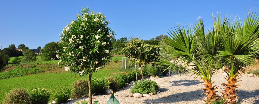 
            Фотография Монтефьоре-делл'Азо