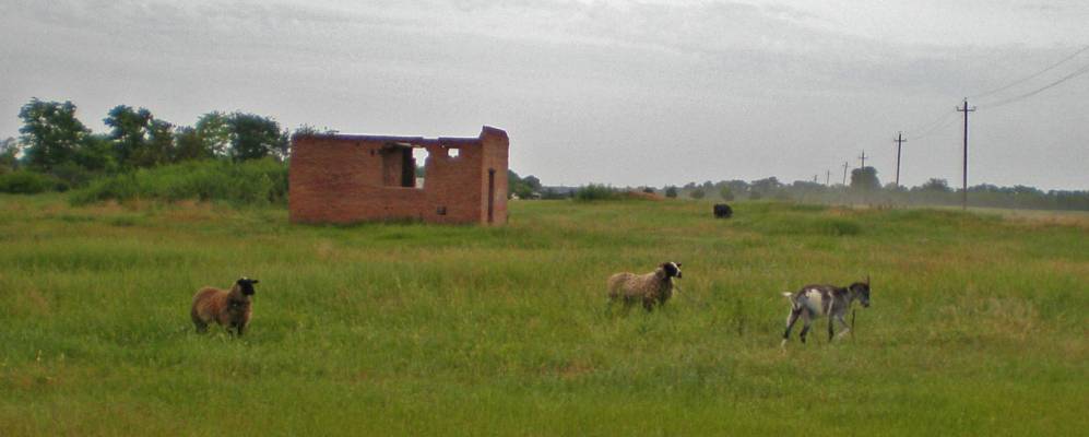 
            Фотография Осеннего