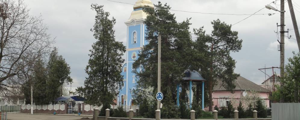 
            Фотография Тростника