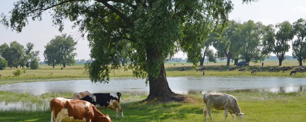 
            Фотография Озерного