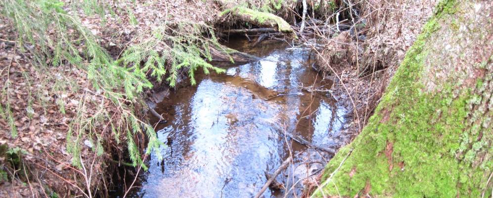 
            Фотография Сечуги