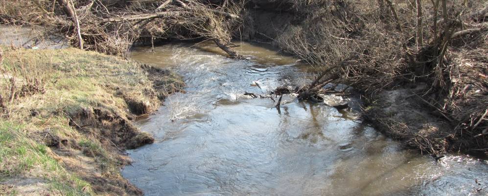
            Фотография Пчельного