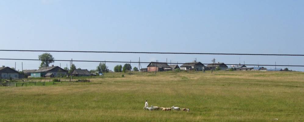 Фотография Степиных