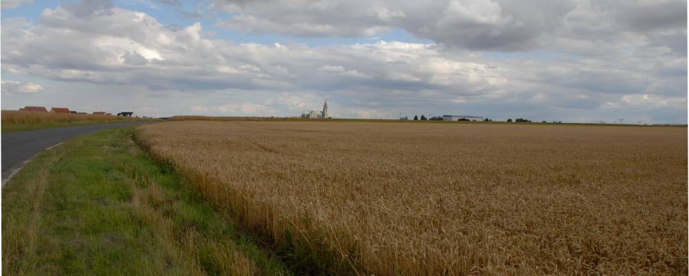 
            Фотография Амийи