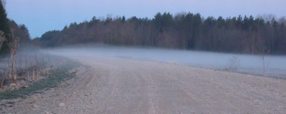 
            Фотография Жуковской