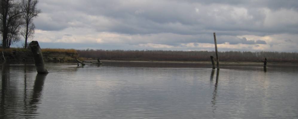 
            Фотография Малышево