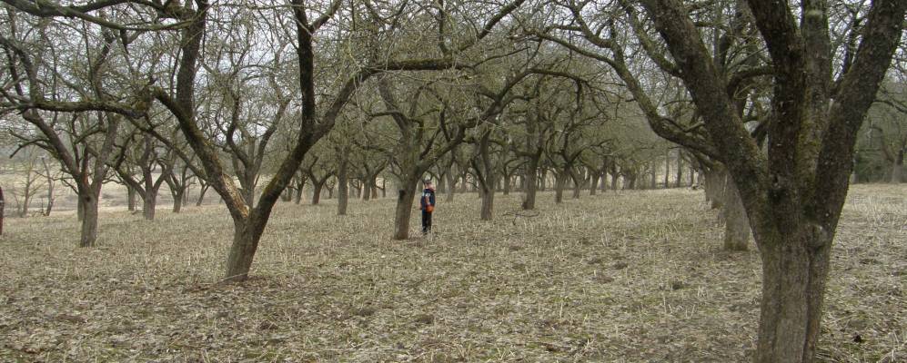 Фотография деревни Сухличи